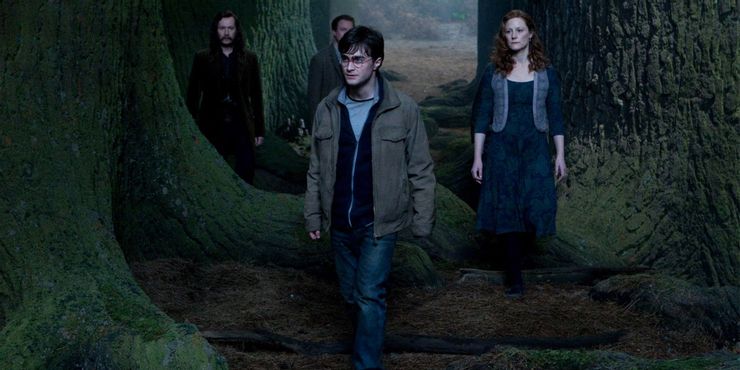 Harry Potter and the Deathly Hallows Part 2 (Dok Warner Bros)