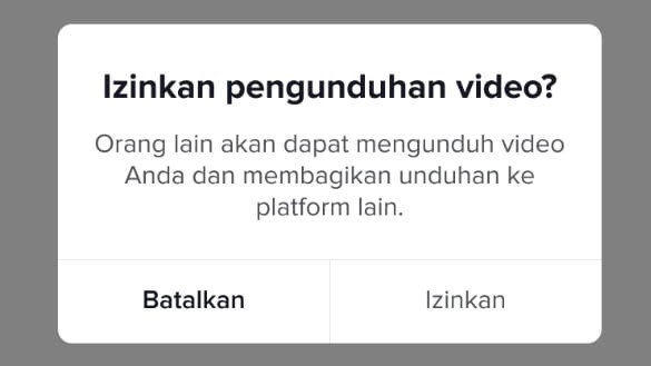 Notifikasi Izin Pengunduhan Video (Dok. TikTok Indonesia)
