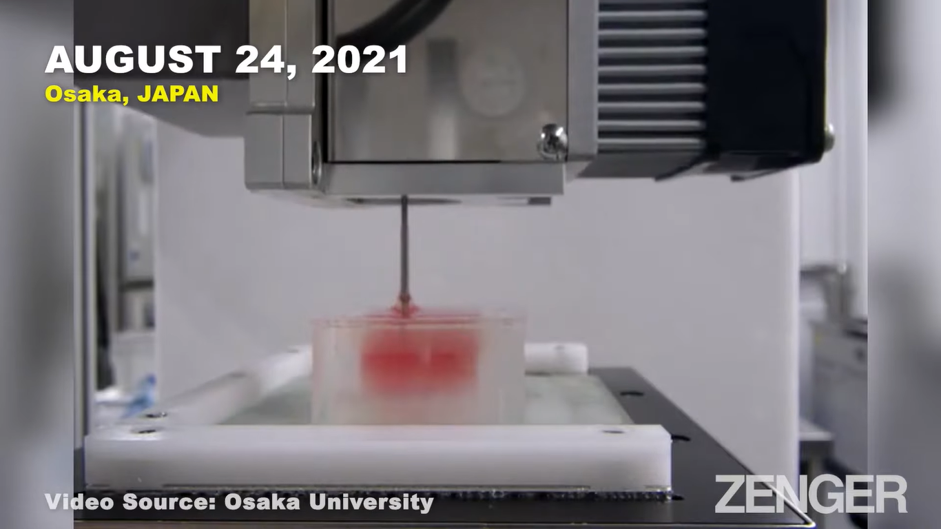 Ilmuwan di Universitas Osaka Jepang menggunakan teknologi bioprinting. (Dok. Tangkapan layar Youtube Zenger)