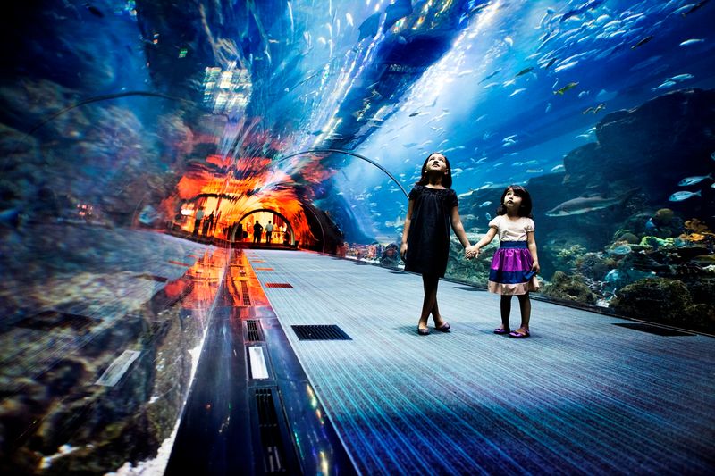 Dubai Aquarium dan Underwater Zoo