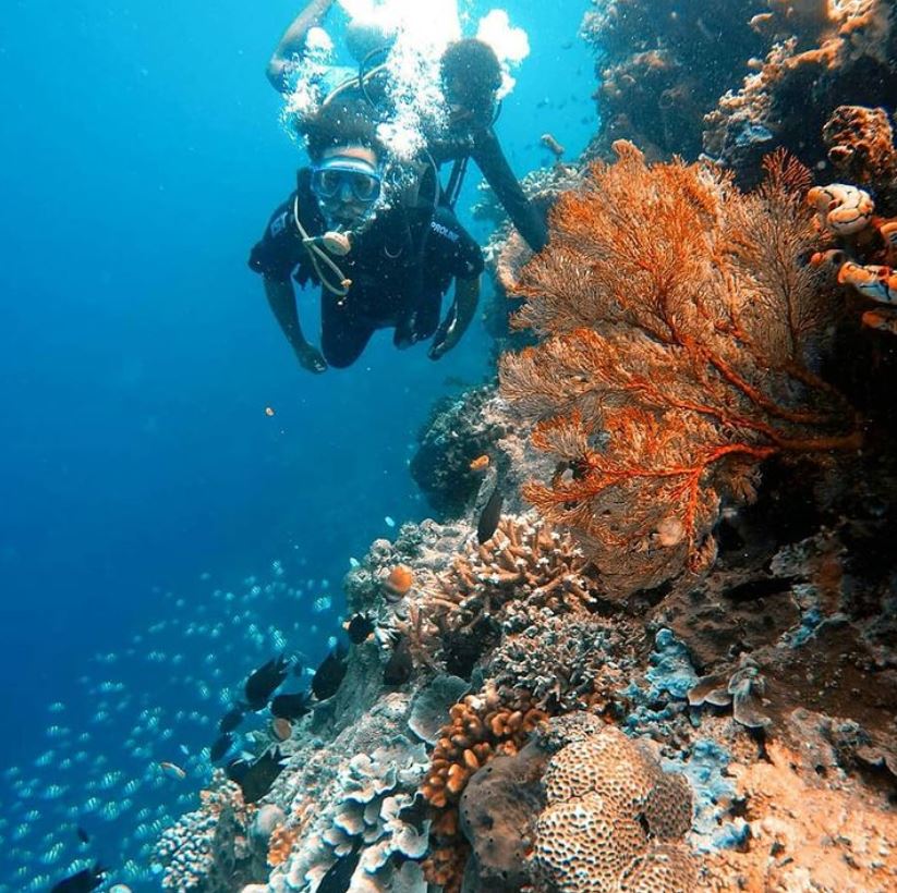 Taman laut Bunaken terletak di wilayah perairan ‘segitiga emas’  atau berada di perairan yang menghubungkan laut Filipina, Laut Papua, dan Indonesia (Dok. Tour Bunaken/Instagram)