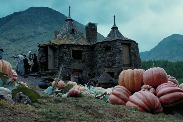 Hagrid Hut. (Dok. Warner Bros.)