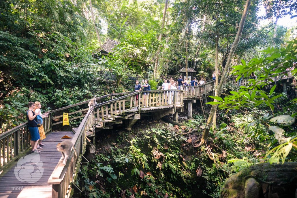 Monkey Forest Ubud adalah salah satu destinasi wisata di Ubud, Bali (Dok. Situs resmi Monkey Forest Ubud)