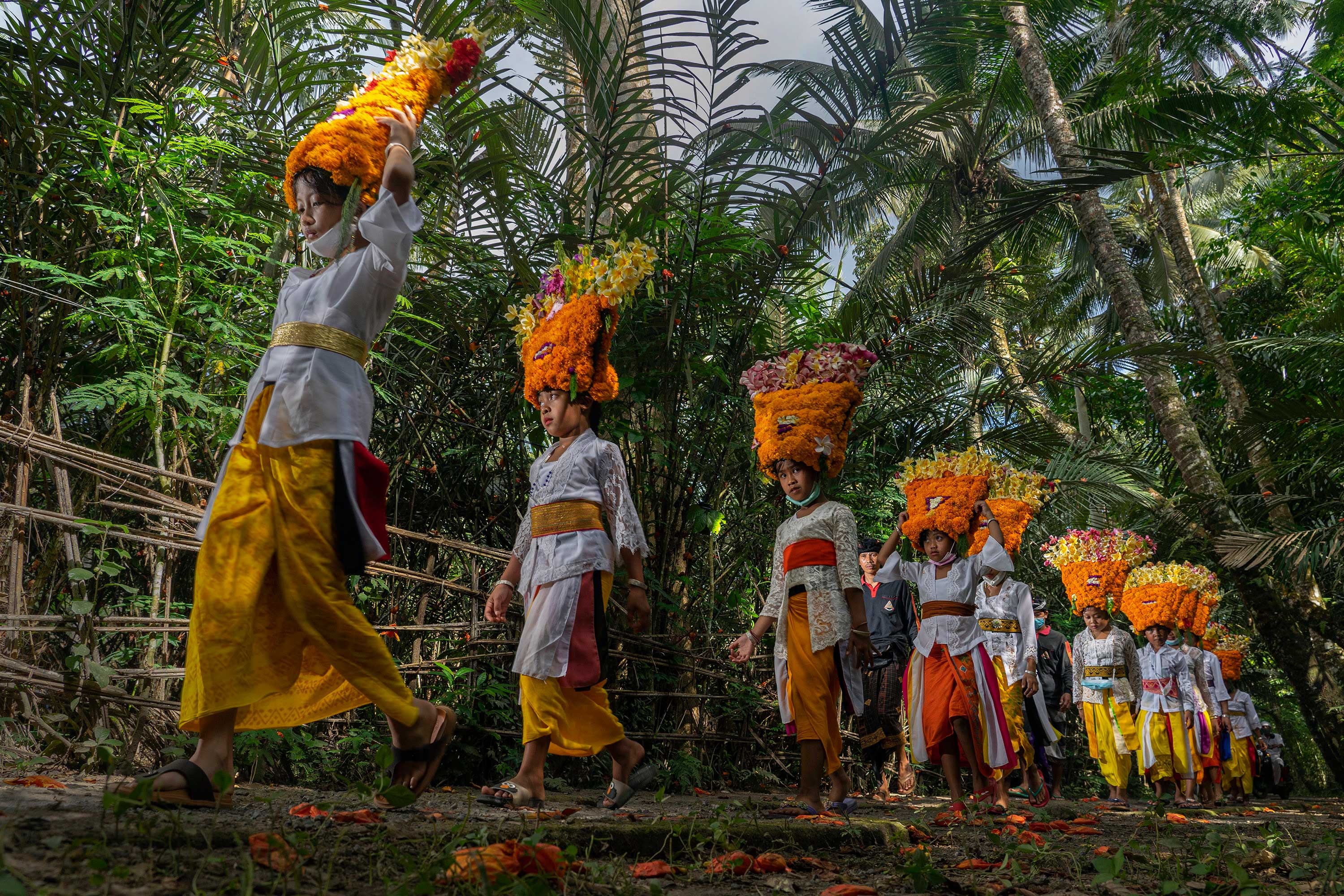 Anak - anak kecil berjalan menuju Pura guna menarikan tarian persembahan, yakni tari Rejang. Di desa Perangsari, Karangasem, Bali, para penari rejang mengenakan hiasan kepala yang menyerupai mahkota. Mahkota yang terbuat dari susunan bunga mitir.
