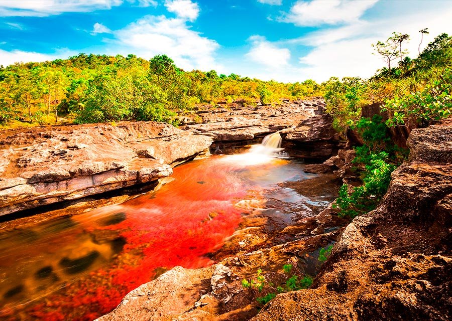 Caño Cristales (Sumber gambar : Colombia Travel)