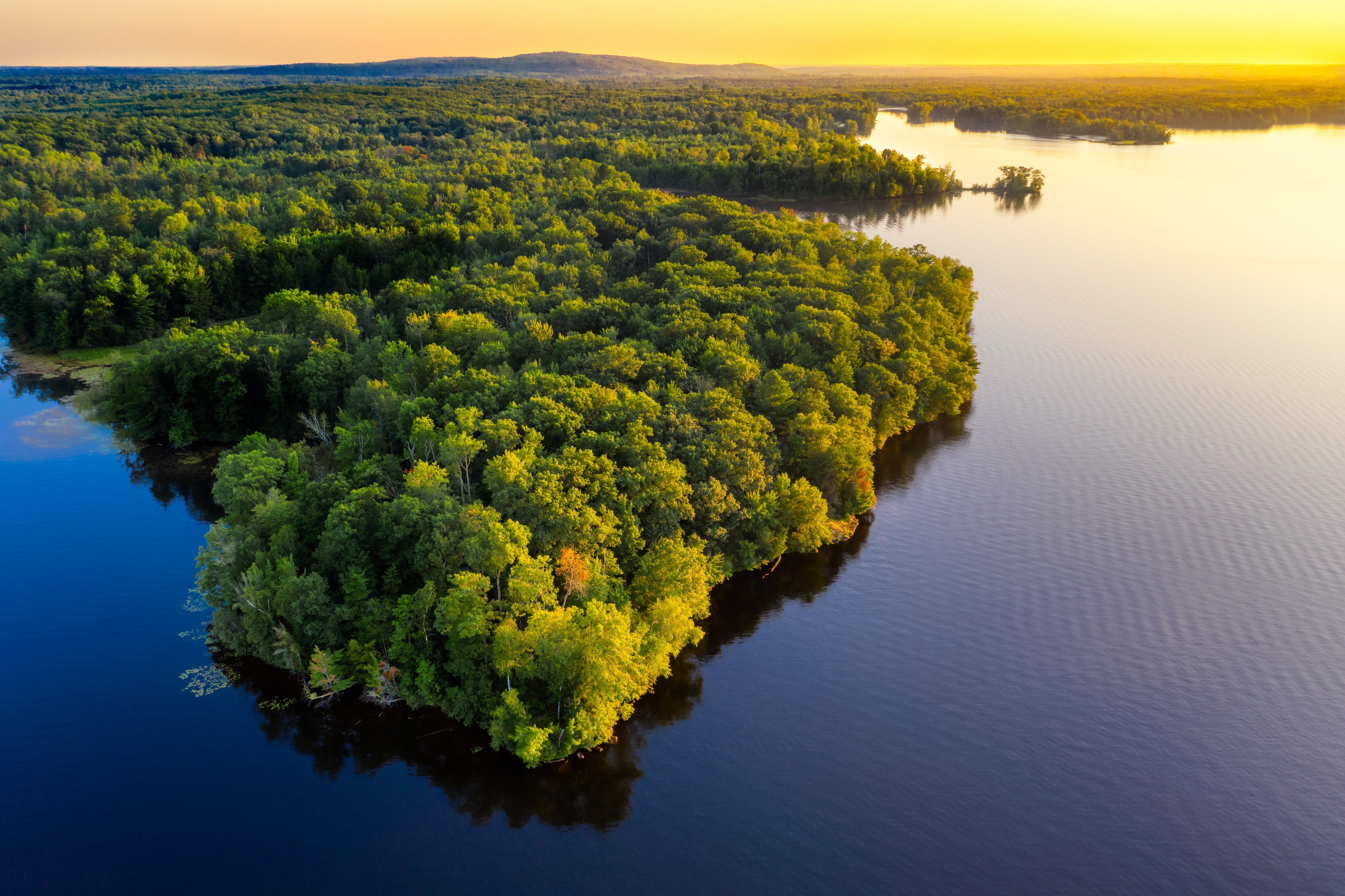 Sungai Amazon (Sumber gambar : Unsplash/Dave Huluver)