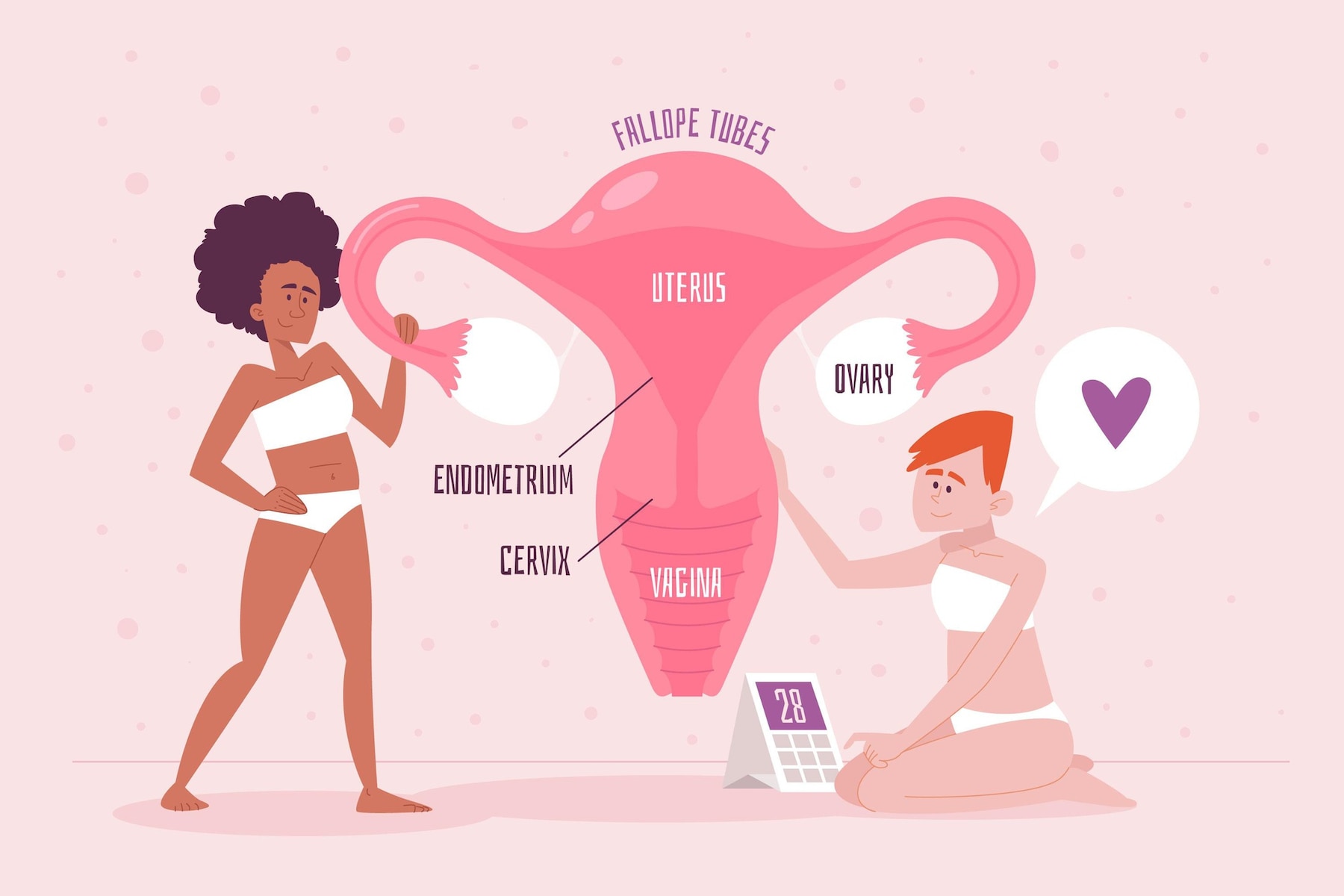 Ilustrasi pengenalan alat reproduksi wanita (Sumber gambar : Freepik/Pikisuperstar)