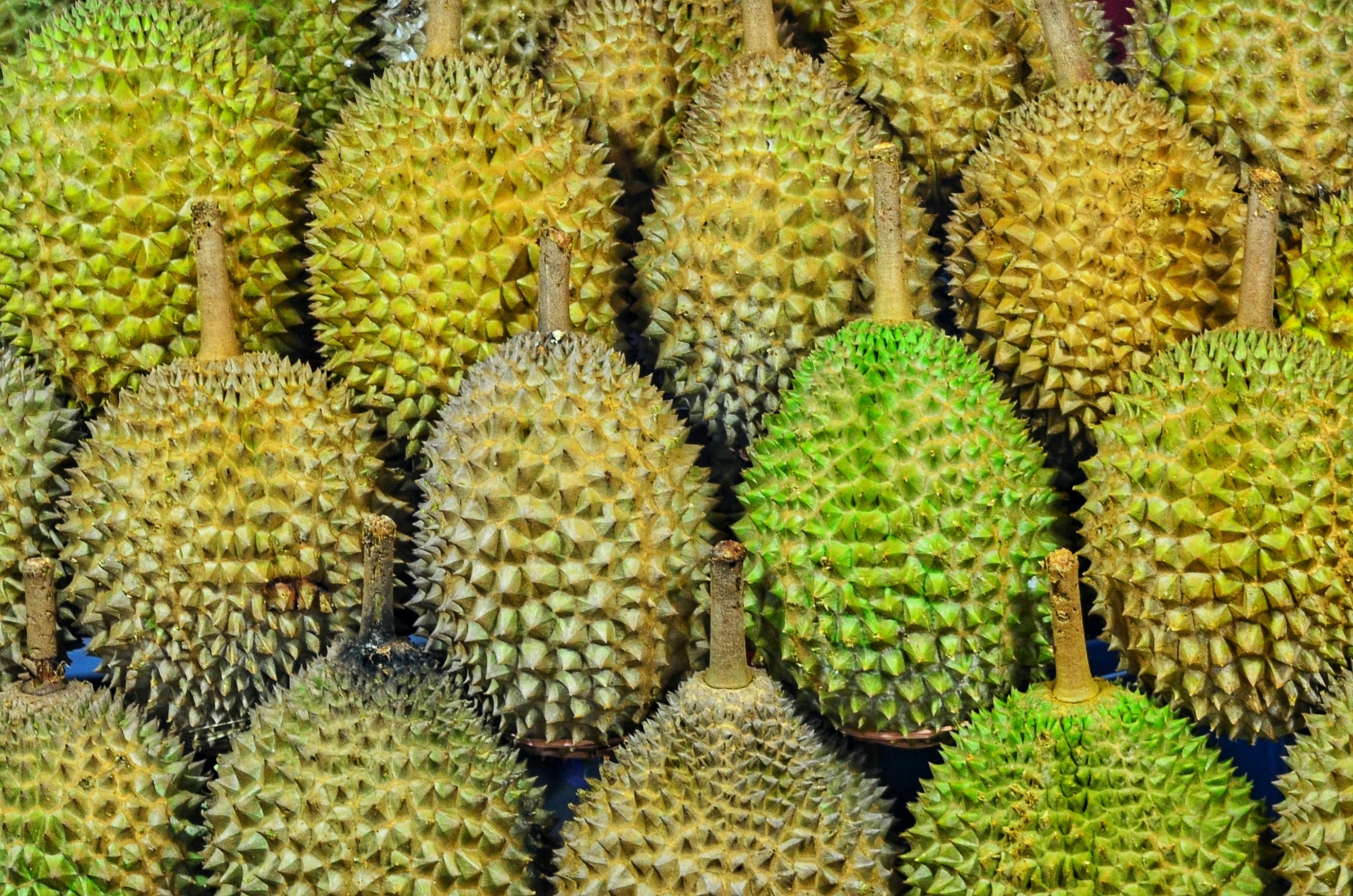Durian (Sumber gambar: Jhonny Clow/Unsplash)
