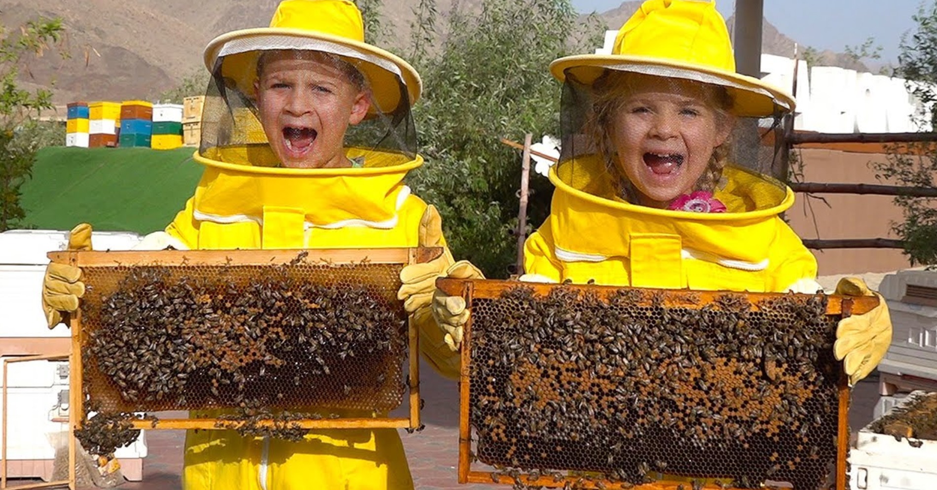 Anak-anak bisa mencoba menjadi peternak lebah. (Sumber gambar: Honeybee Garden and Discovery Center)