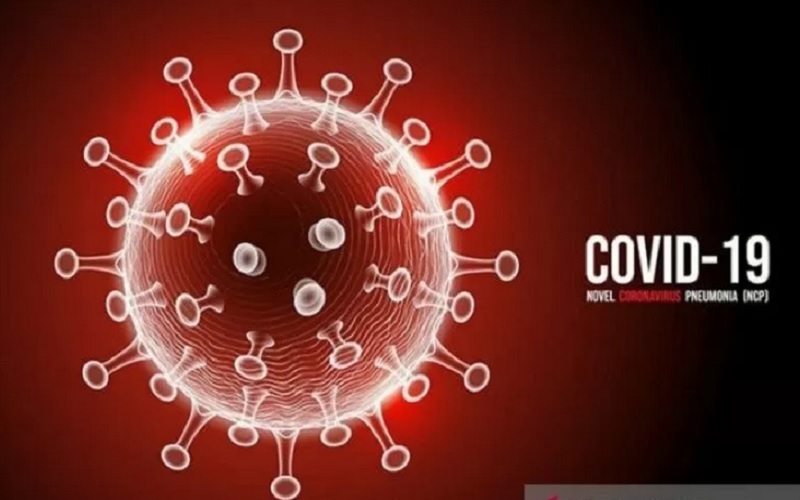 Sindrom pernapasan akut parah coronavirus 2 (SARS?CoV?2) /freepik