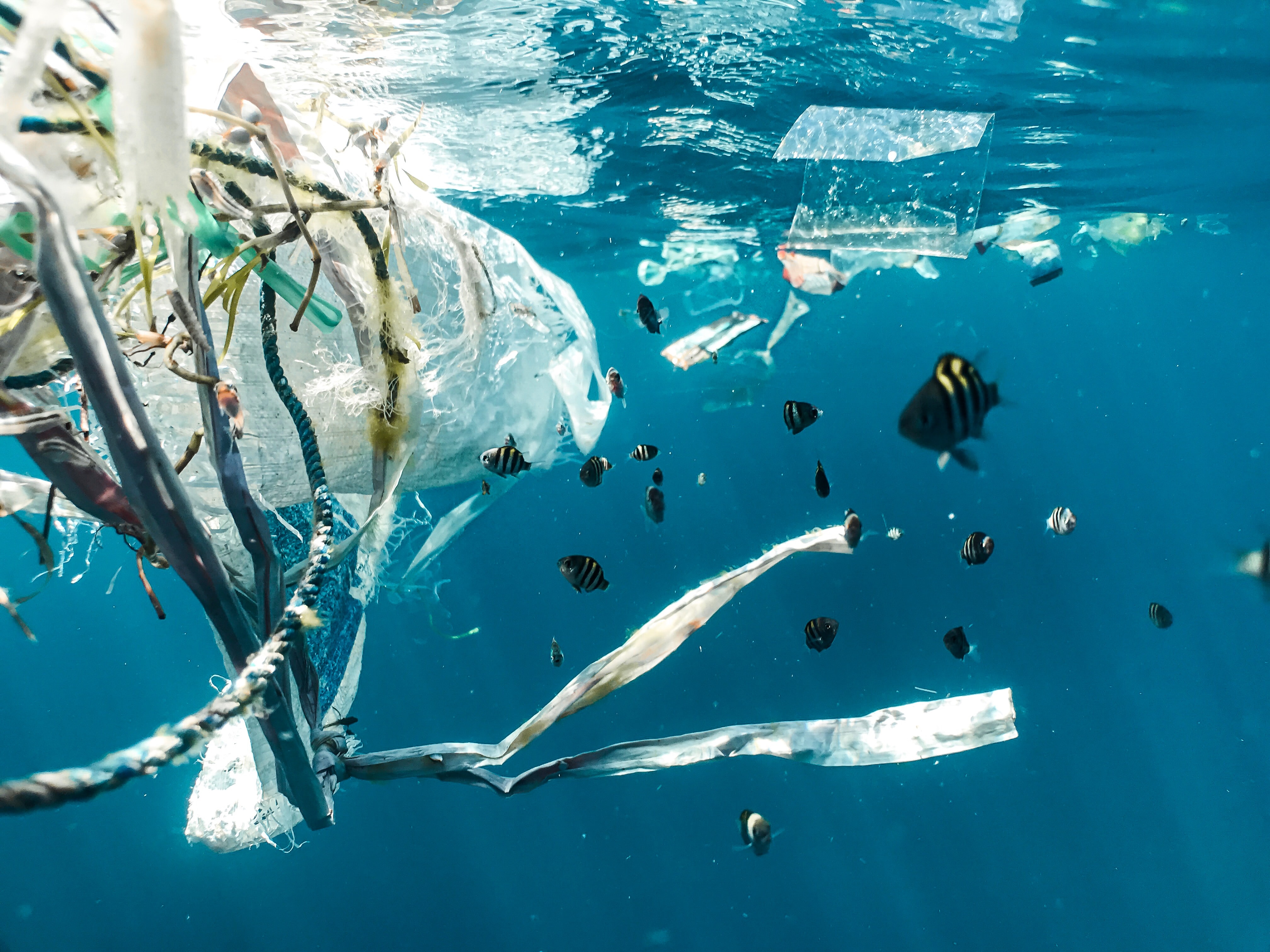 Ilustrasi sampah di lautan (Sumber gambar: Naja Bertolt Jansen/Unsplash)