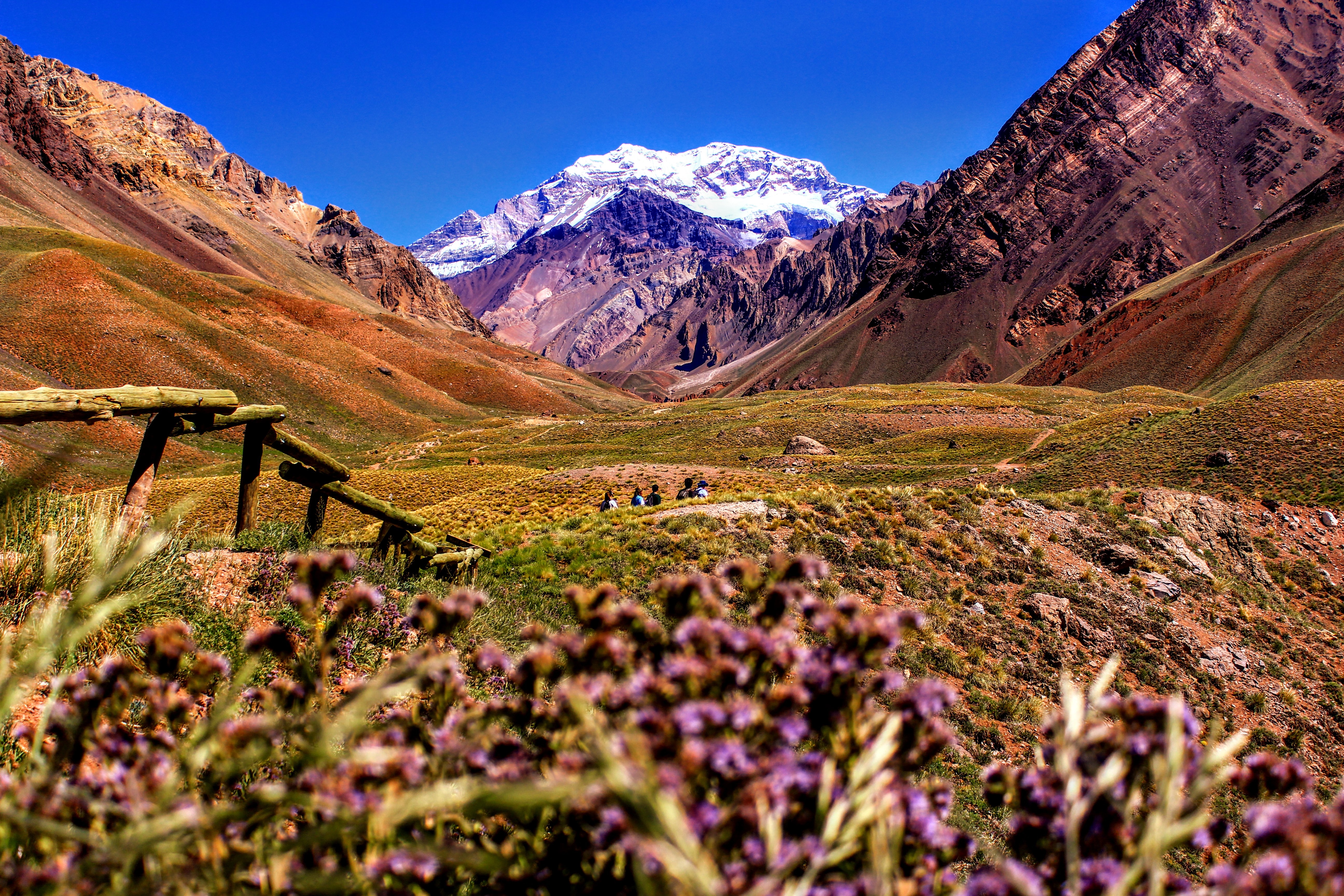 Gunung Aconcagua (sumber gambar Unsplash/Nicolas Perez)
