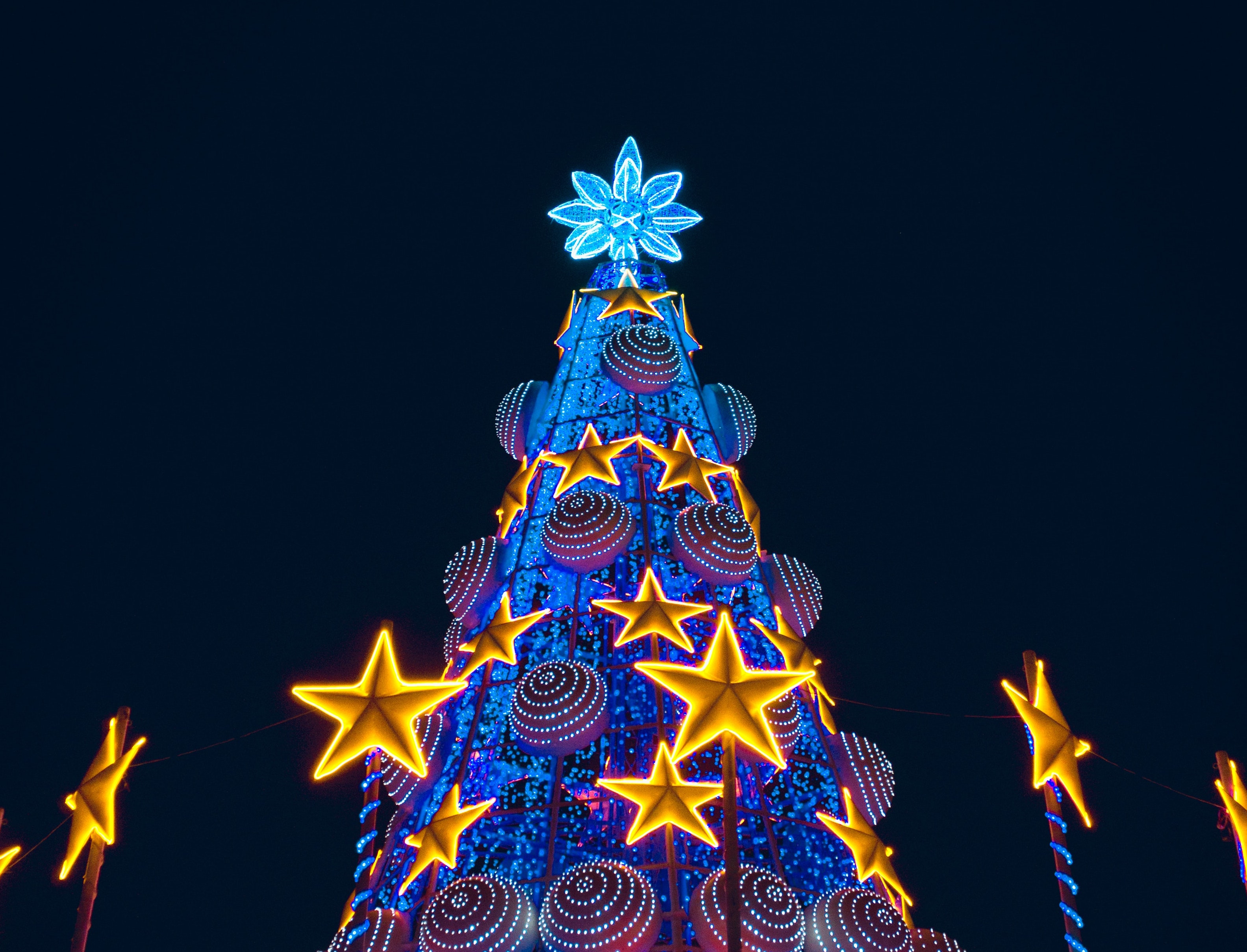 Ilustrasi bintang bethlehem di pucuk pohon Natal (Sumber gambar: Alex Mccarty/Unsplash)