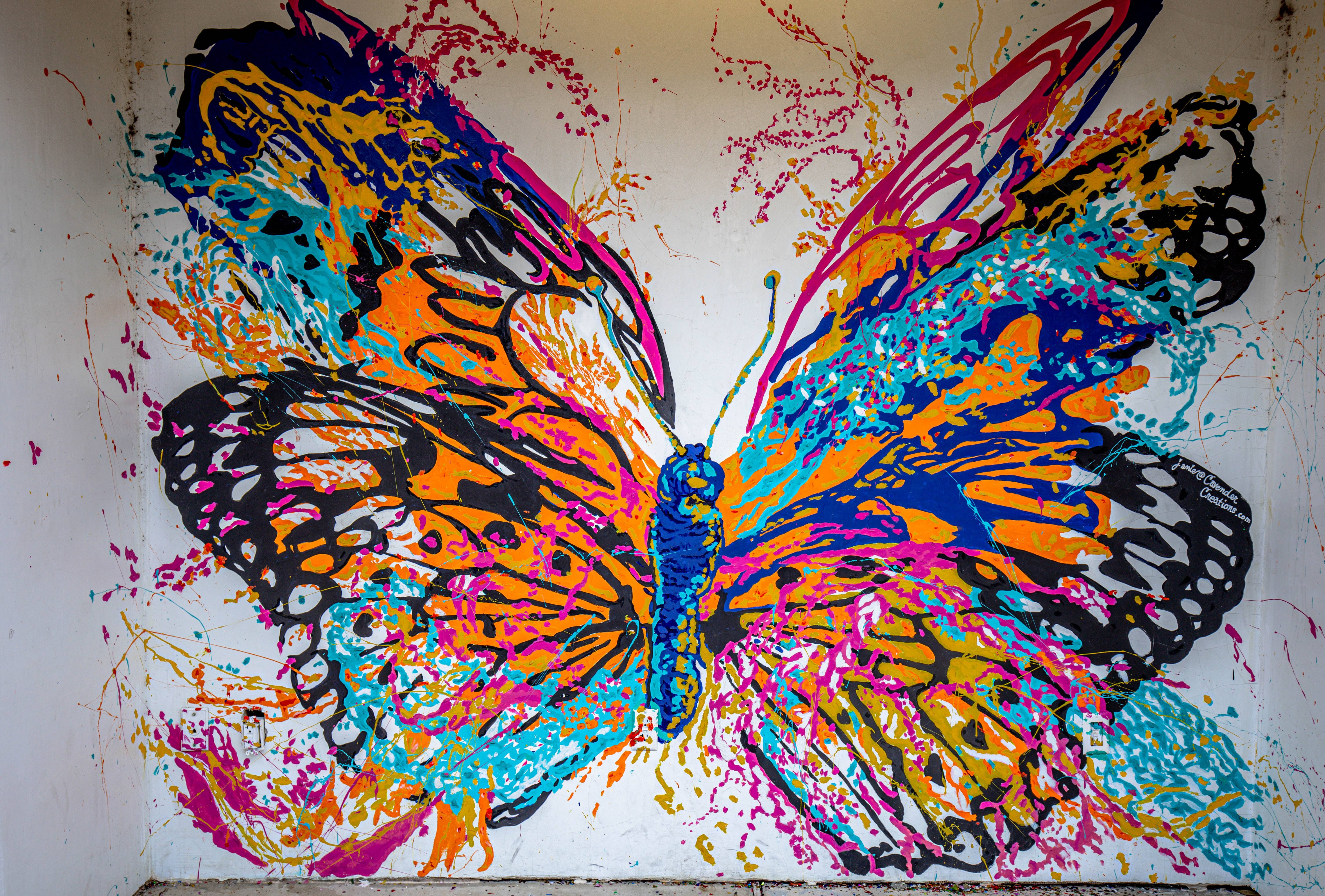 Ilustrasi lukisan kupu-kupu (Sumber gambar: Unsplash/Martin Ferreira)