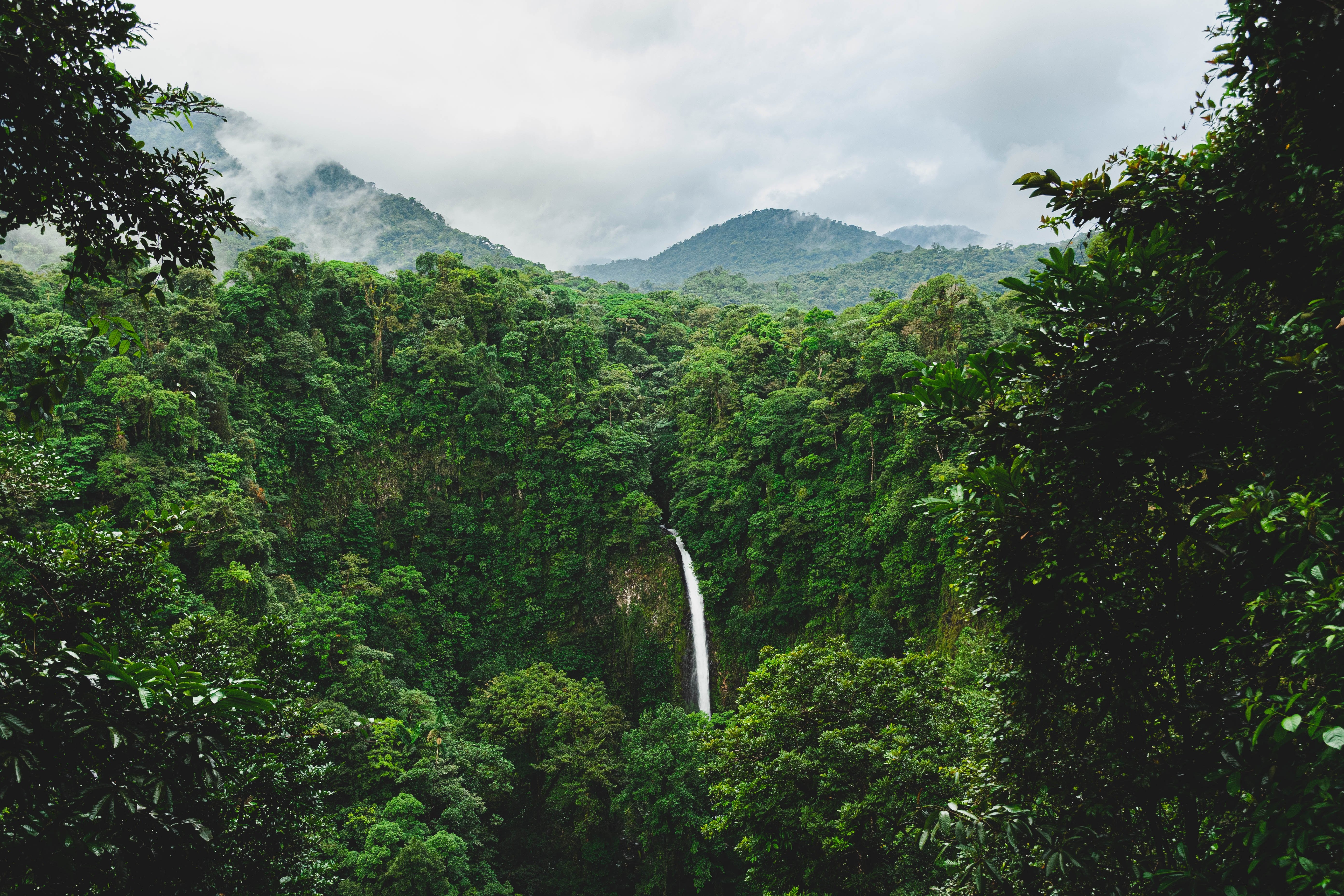 Kosta Rika (sumber gambar Unsplash/etienne Delorieux)