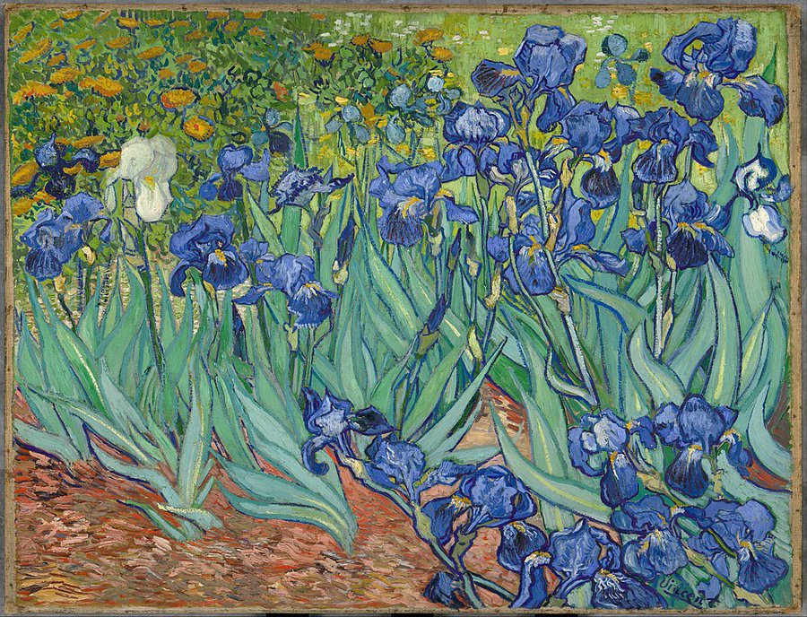 Irises (sumber gambar Twitter. Getty Center)