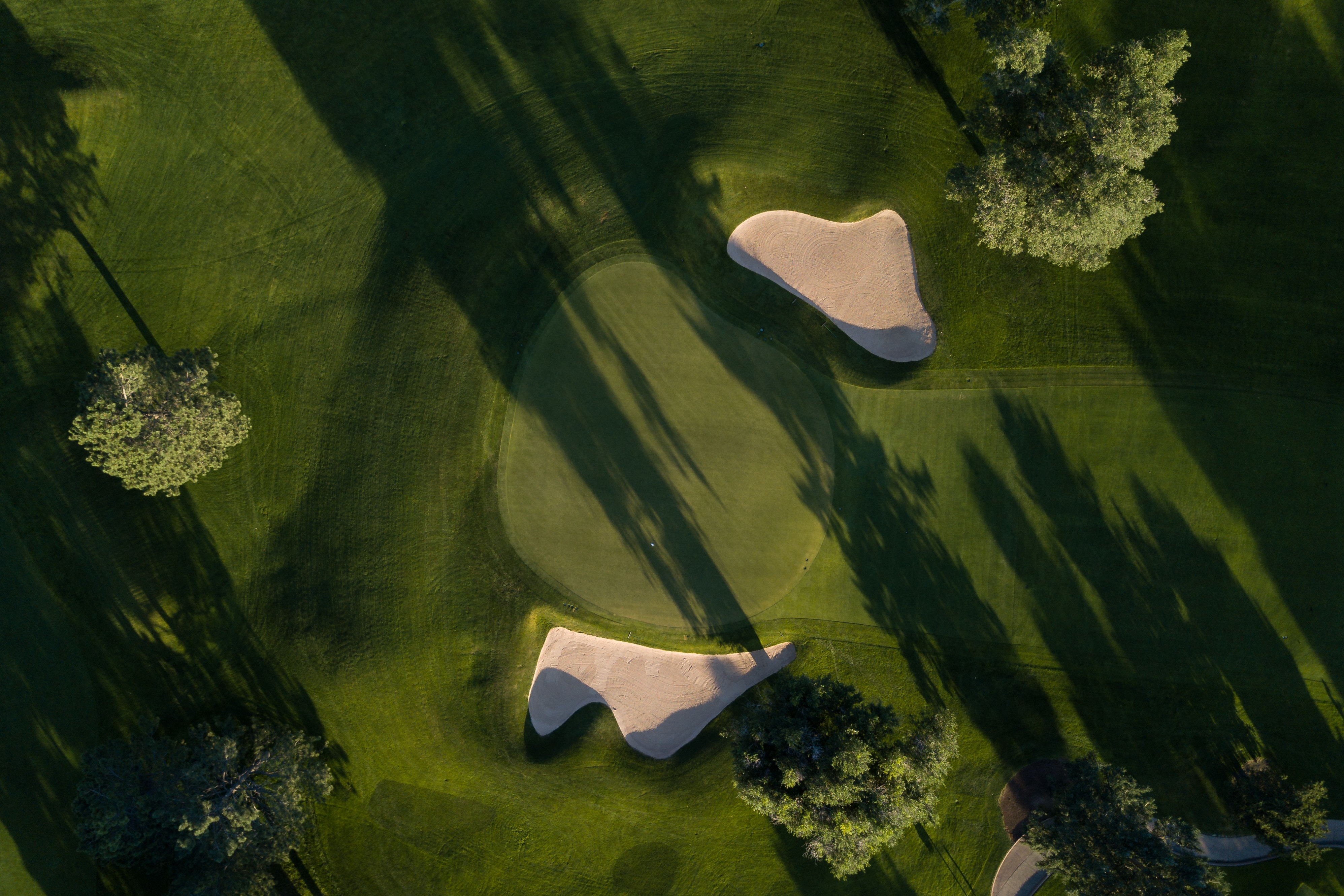 Rumput Golf (Sumber foto: unsplash/allan-nygren)