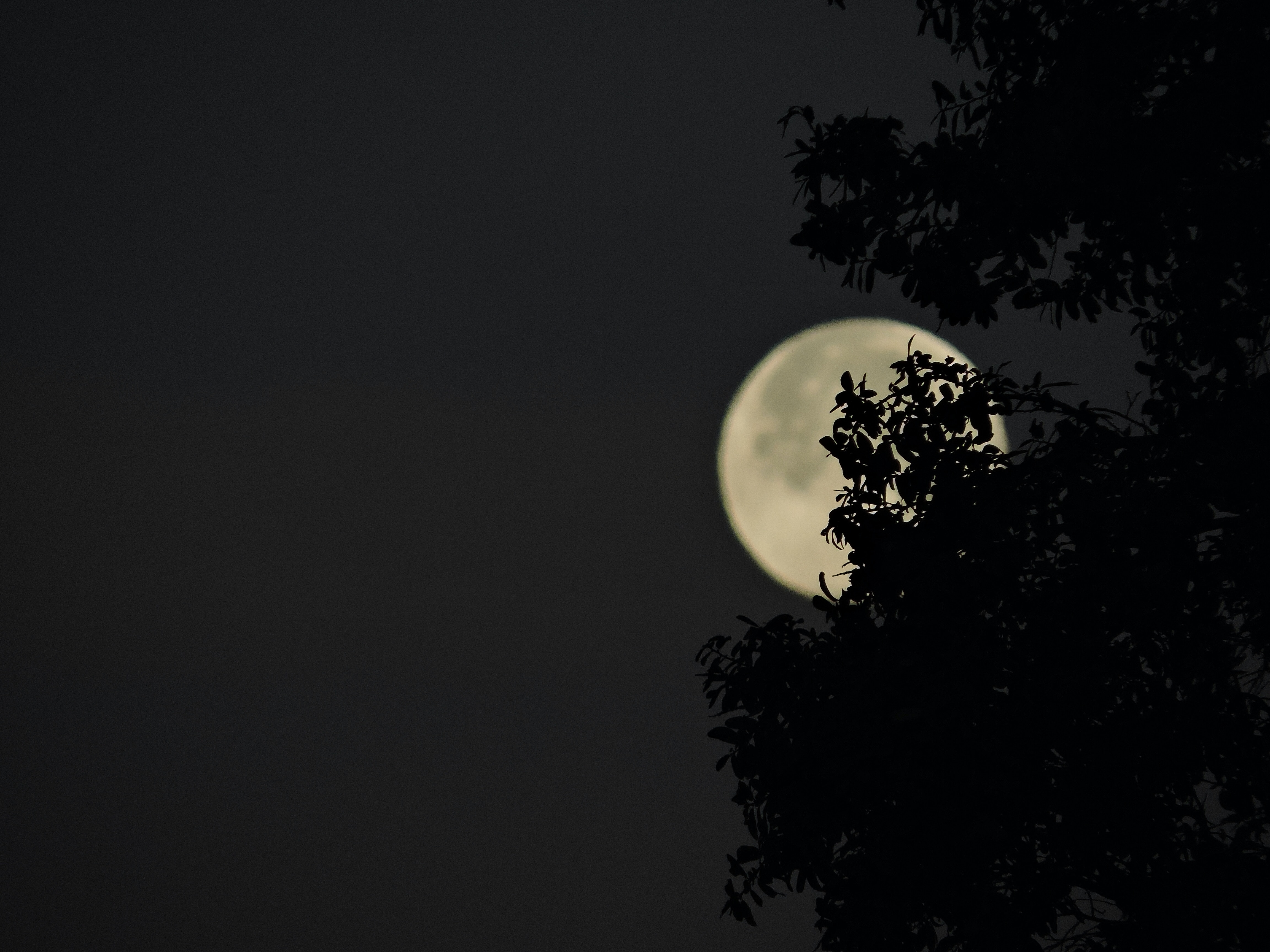 Ilustrasi bulan purnama. (Sumber gambar: Kristen Wyman/Unsplash)