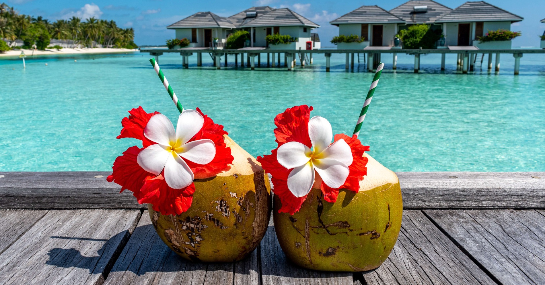 Selain memiliki rasa yang menyegarkan, air kelapa juga dapat menurunkan stres. (Sumber gambar: Nikolas Tasic/Unsplash)