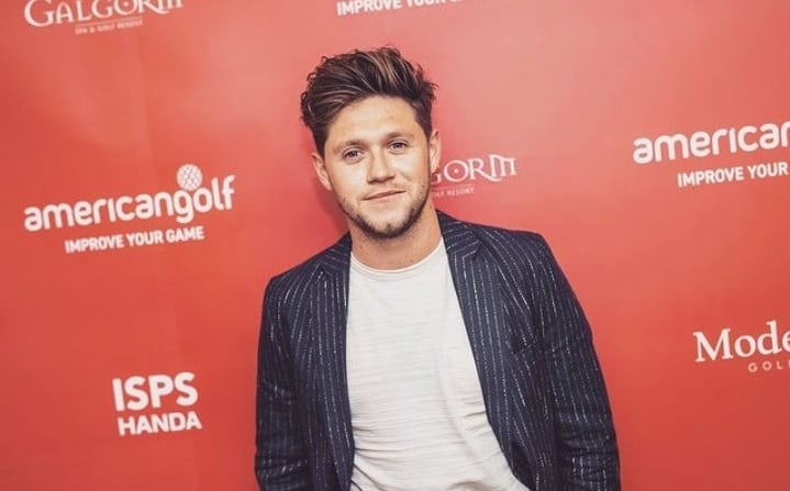 Hypeabis - Niall Horan Eks One Direction Bakal Konser Di Jakarta Mei ...