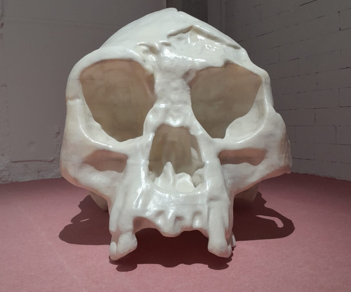 Karya Kei Imazu berjudul Skull of Homo floresiensis, Acrylonitrile butadiene styrene, Polyurethane paint, 150x154x216 cm, 2023. (sumber gambar Hypeabis.id/Prasetyo Agung Ginanjar)