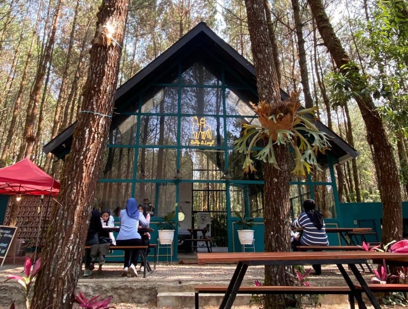 Tangkal Pinus Jayagiri (Sumber gambar: Instagram.com/@tangkalpinus)