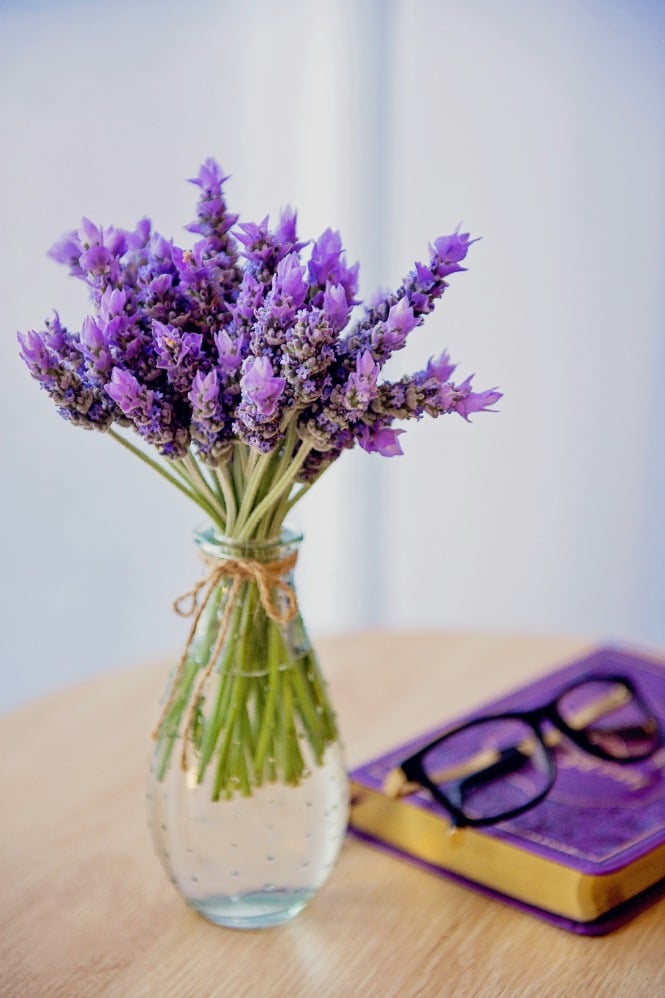 Bunga Lavender. (Sumber gambar: Nichole Pearce/Unsplash)