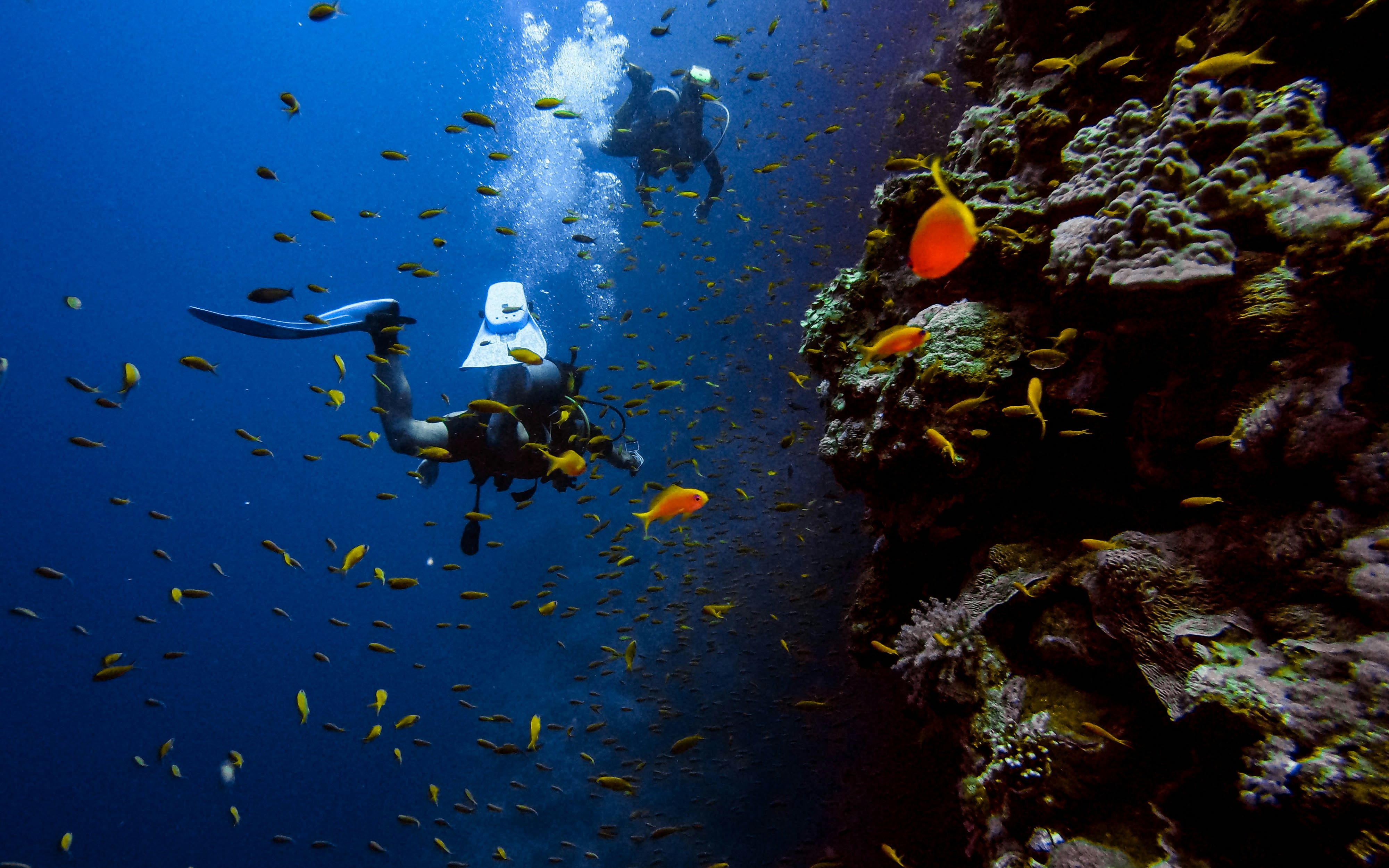 Hypeabis - Masuk Tiga Besar Destinasi Scuba Diving Terbaik Dunia, Ini ...