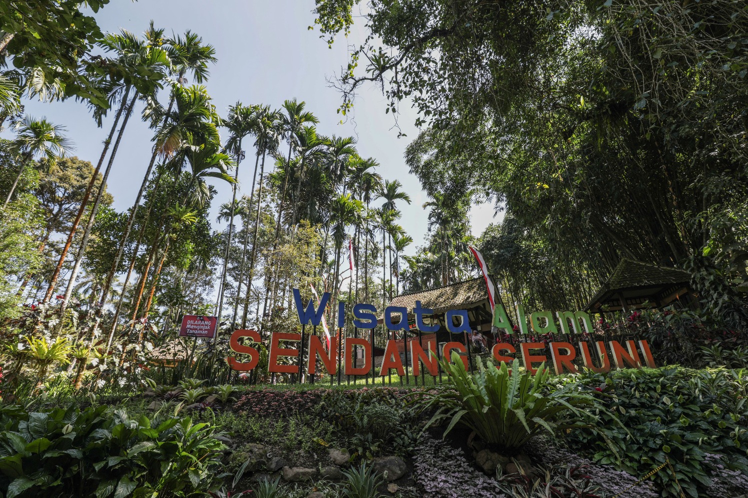 Pengunjung beraktivitas di wisata alam Sendang Seruni di Desa Wisata Tamansari, Banyuwangi, Jawa Timur, Kamis (10/8/2023).  (Sumber gambar: JIBI/Bisnis/Fanny Kusumawardhani)