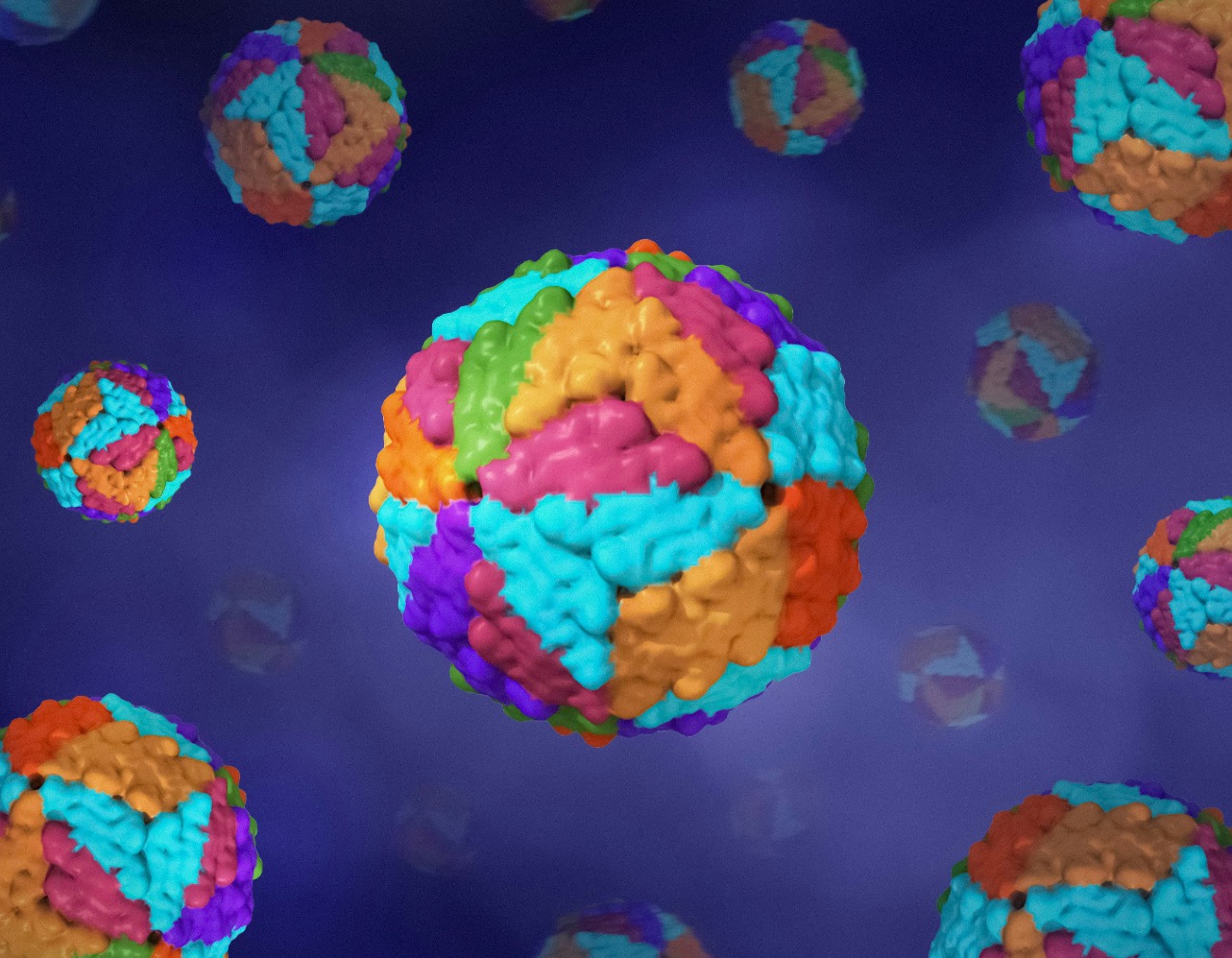 Ilustrasi virus (Sumber gambar: Unsplash/National Institute of Allergy and Infectious Diseases)