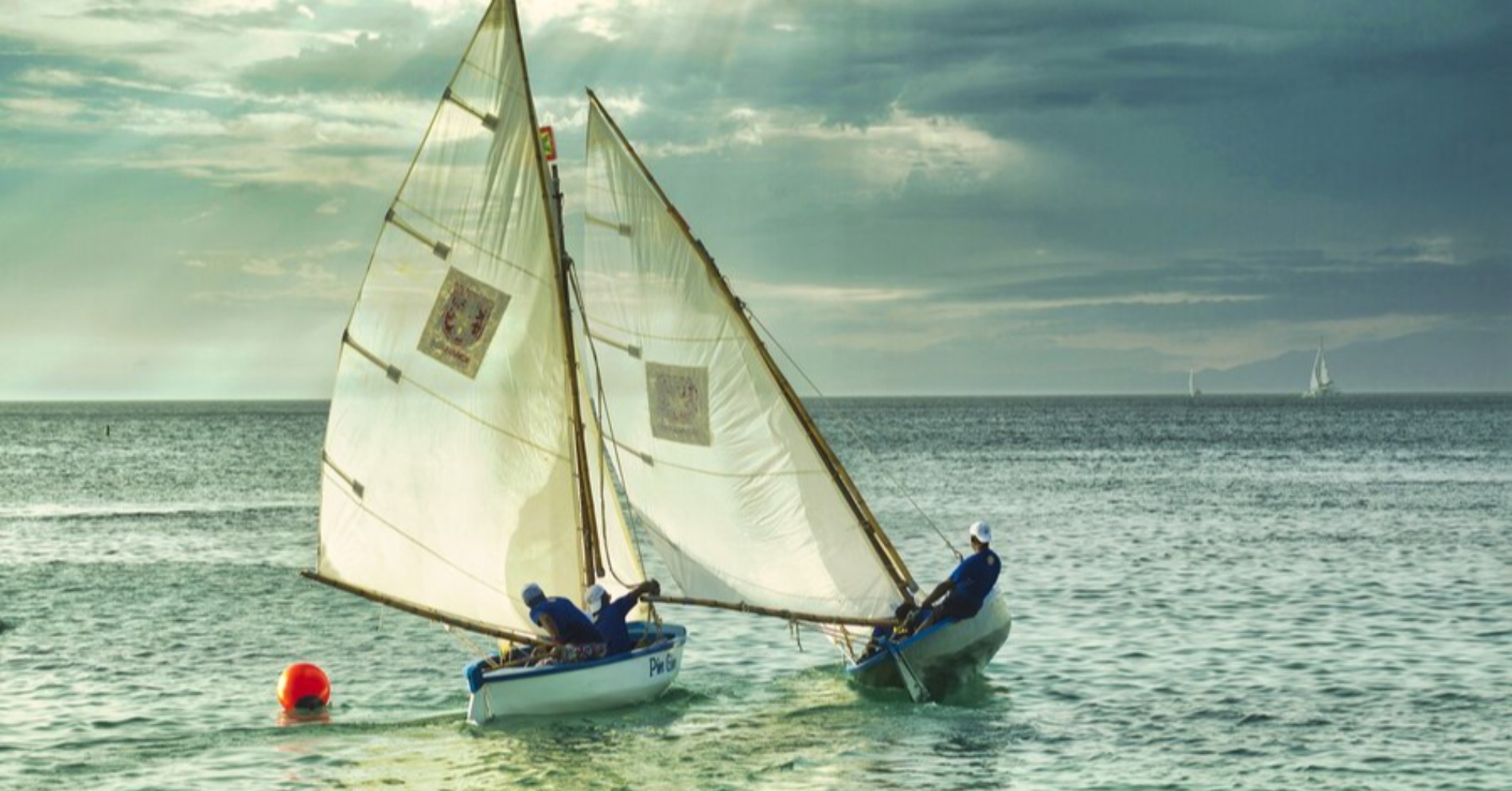 Berlayar (Sumber foto: freepik/wirestock)