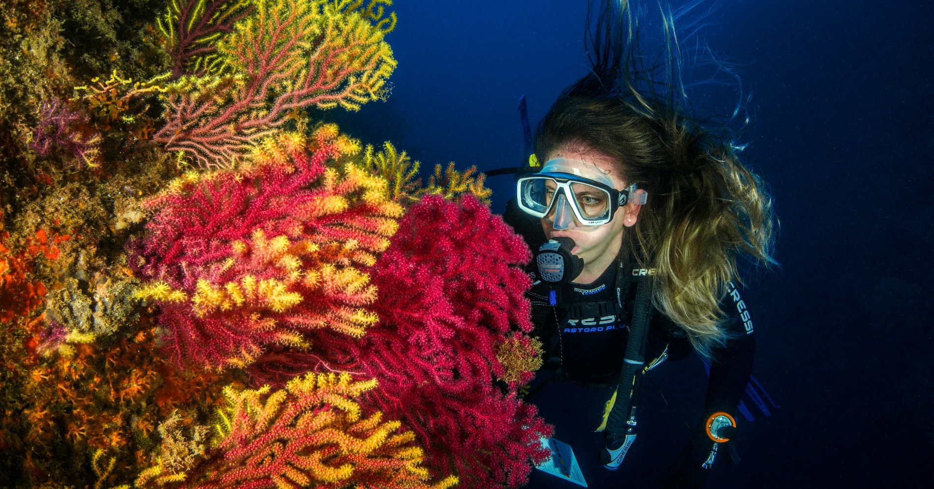 Diving (Sumber gambar: Unsplash/Juanma Clemente Alloza)