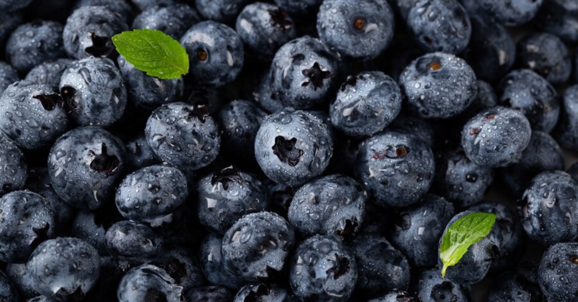 Blueberry (Sumber foto: freepik/wirestock)