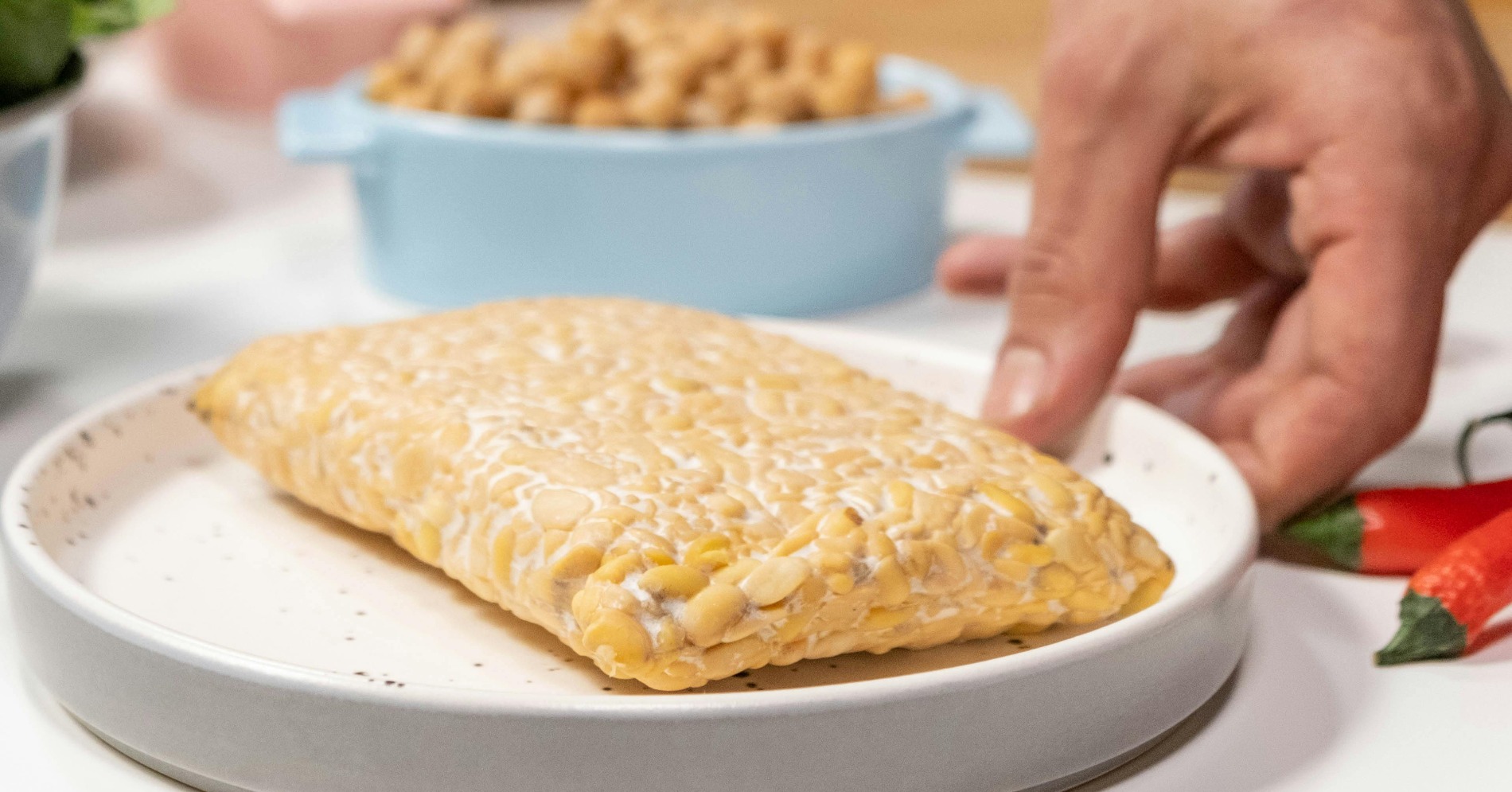 Tempe yang telah difermentasi dari kacang (Sumber foto: Pexels/cottonbro studio)