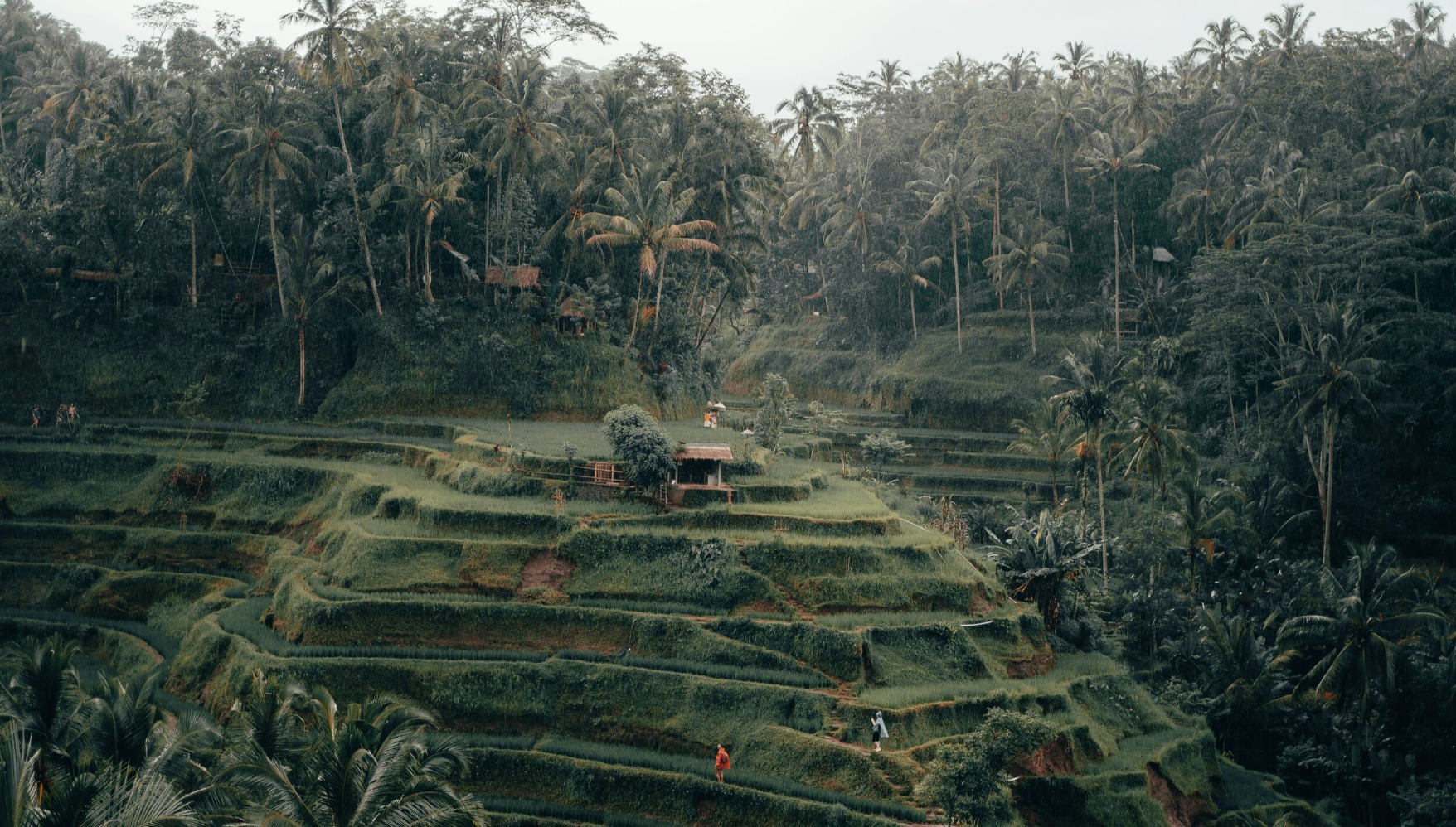 Subak telah ditetapkan sebagai bagian dari warisan budaya dunia oleh UNESCO pada 2012 (sumber gambar: Unsplash/Radoslav Bali)