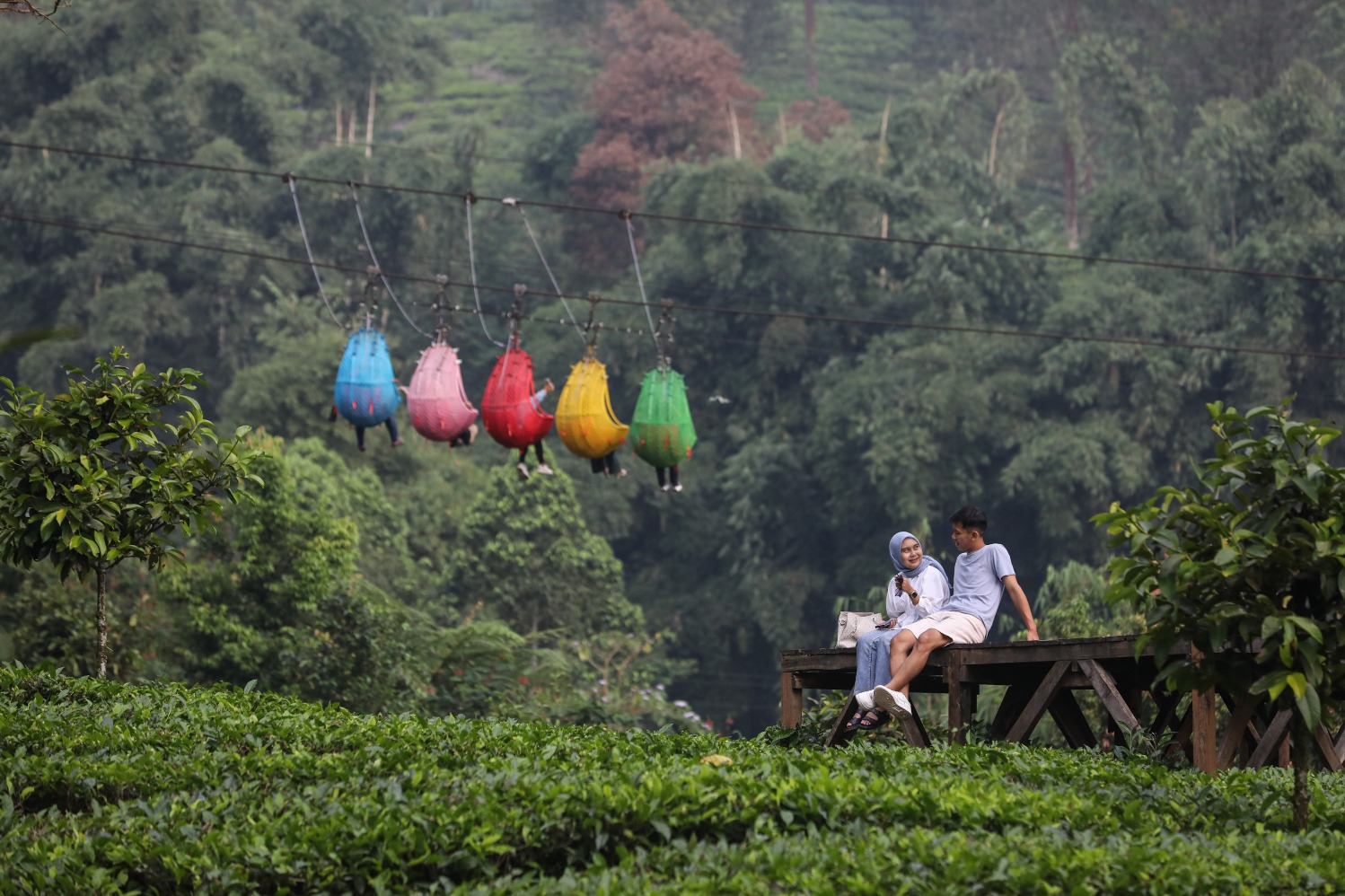 Argowisata Gunung Mas (Sumber gambar: Arief Hermawan P/Hypeabis.id)