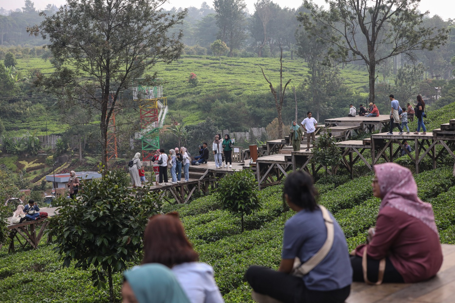 Argowisata Gunung Mas (Sumber gambar: Arief Hermawan P/Hypeabis.id)