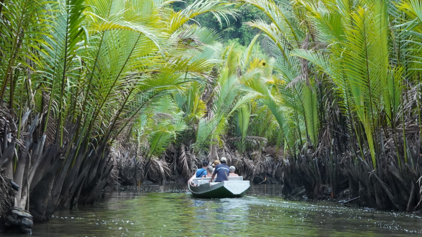 Rammang-Rammang (Sumber gambar: Erwin Tri Prasetyo/Bisnis)