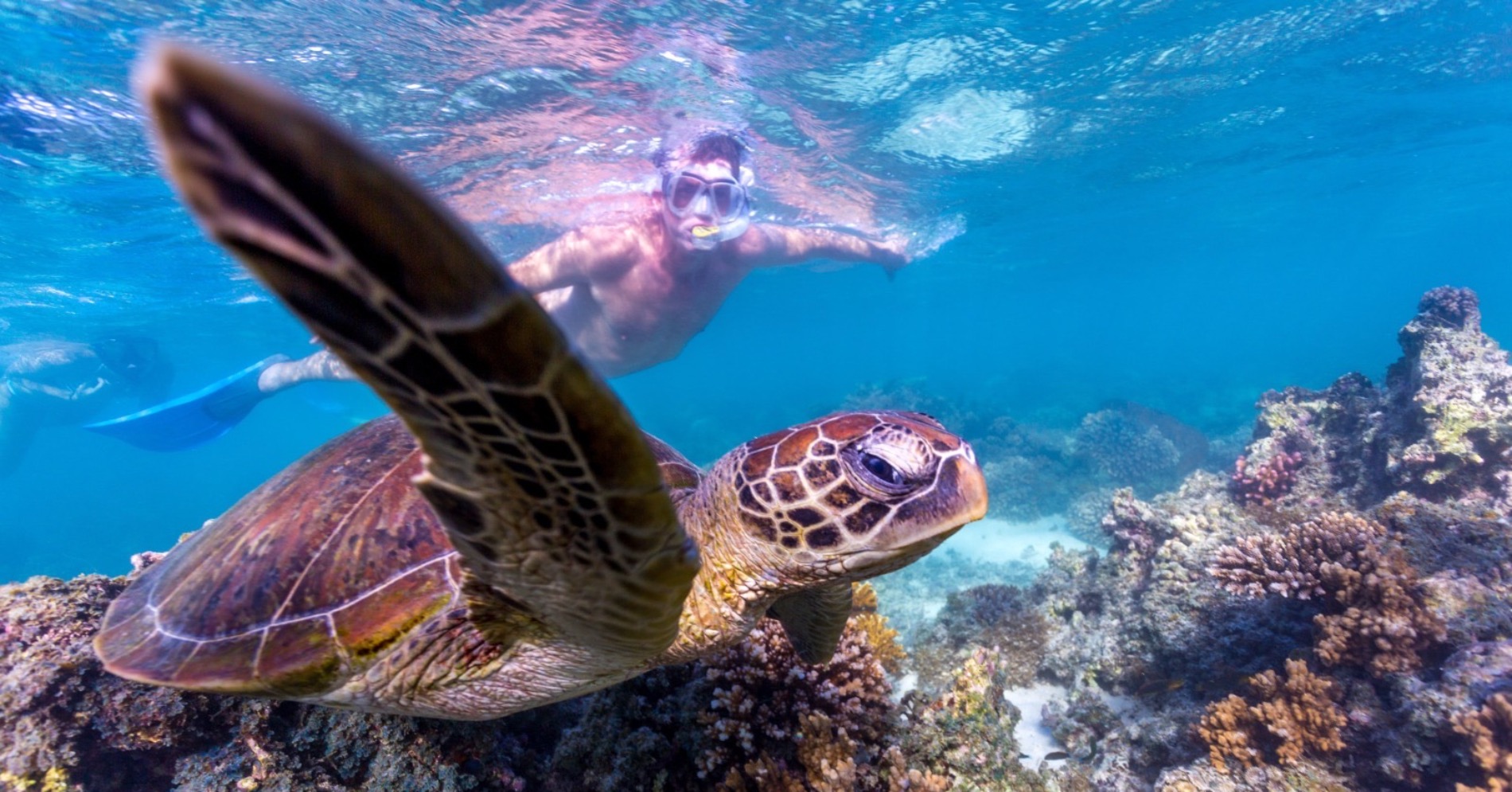 Ningaloo Reef, Australia Barat (Sumber gambar: Tourism West Australia) Ningaloo Reef, Australia Barat (Sumber gambar: Tourism West Australia)