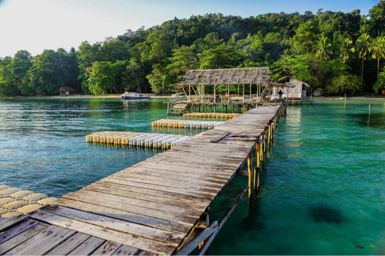 Pulau Waigeo (Sumber gambar: Wonderful Kemenparekraf RI)
