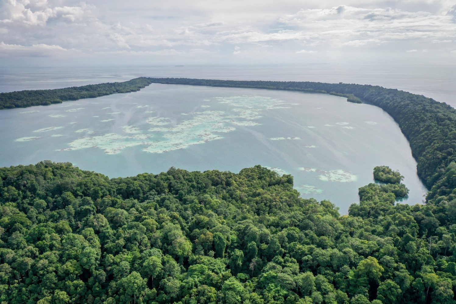 Pulau Kakaban, Kalimantan Timur (Sumber gambar: Wonderful Kemenparekraf RI)