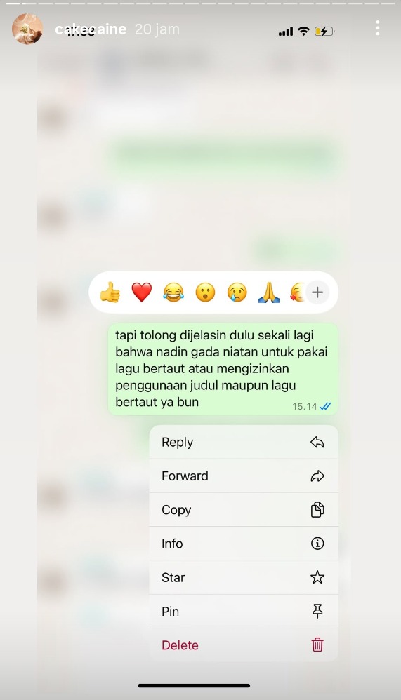 Tangkapan layar Instagram Story Nadin Amizah Tangkapan layar Instagram Story Nadin Amizah