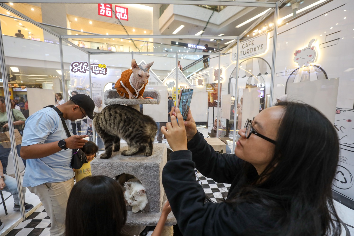Pengunjung berfoto dengan kucing di HARU VILLAGE di Jakarta, Sabtu (21/6/2025). (Sumber gambar: JIBI/Bisnis/Abdurachman) Pengunjung berfoto dengan kucing di HARU VILLAGE di Jakarta, Sabtu (21/6/2025). (Sumber gambar: JIBI/Bisnis/Abdurachman)