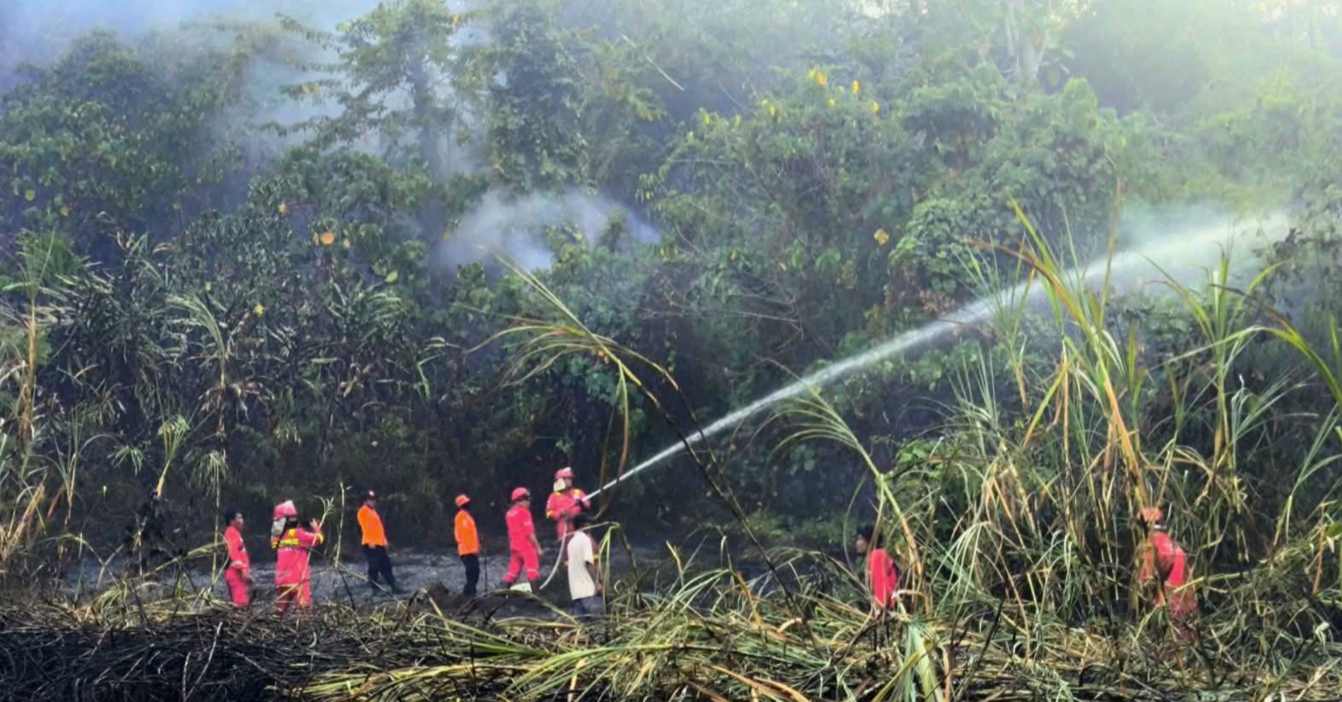 Sejumlah personel melakukan pemadaman karhutla di Provinsi Sumatra Barat. dok BNPB