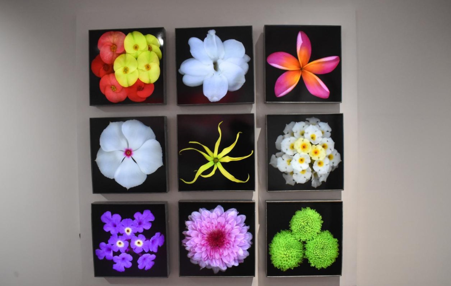 Karya Angki Purbandono bertajuk Flower Power Karya Angki Purbandono bertajuk Flower Power