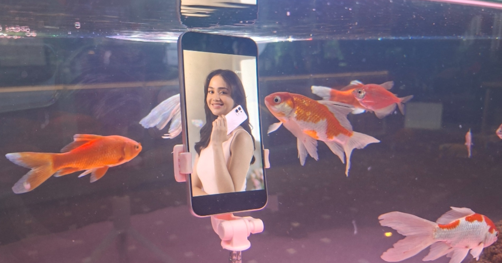 Oppo A6 Pro yang bisa dipakai live streaming bawah air. (Sumber gambar: Desyinta Nuraini/Hypeabis.id) Oppo A6 Pro yang bisa dipakai live streaming bawah air. (Sumber gambar: Desyinta Nuraini/Hypeabis.id)