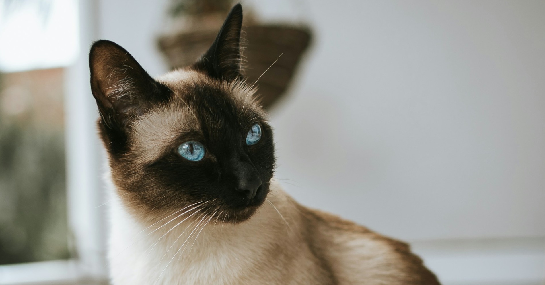 (Sumber foto : Unsplash/Alex Meier)