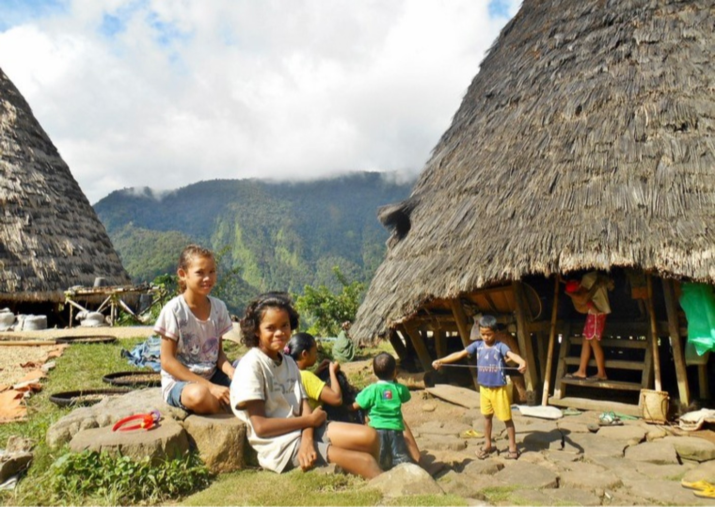 Waerebo (Sumber gambar: tourisminfo.nttprov.go.id)