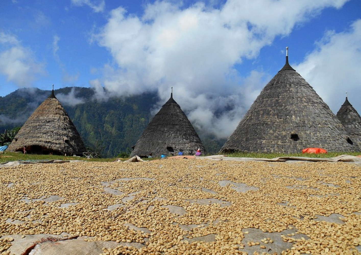 Waerebo (Sumber gambar: tourisminfo.nttprov.go.id)