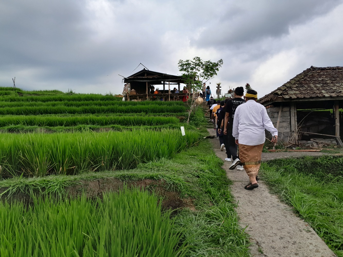 Subak Jatiluwih Bali (Sumber gambar: Chelsea Venda/Hypeabis.id)